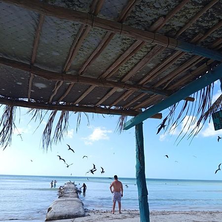 Mi Habitat Holbox-Maravilla Natural Zewnętrze zdjęcie