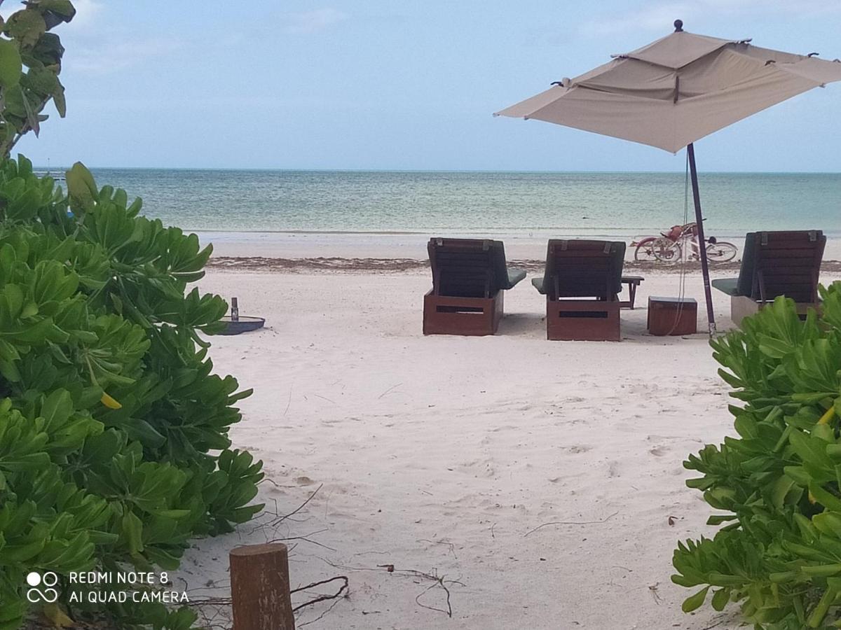 Mi Habitat Holbox-Maravilla Natural Zewnętrze zdjęcie