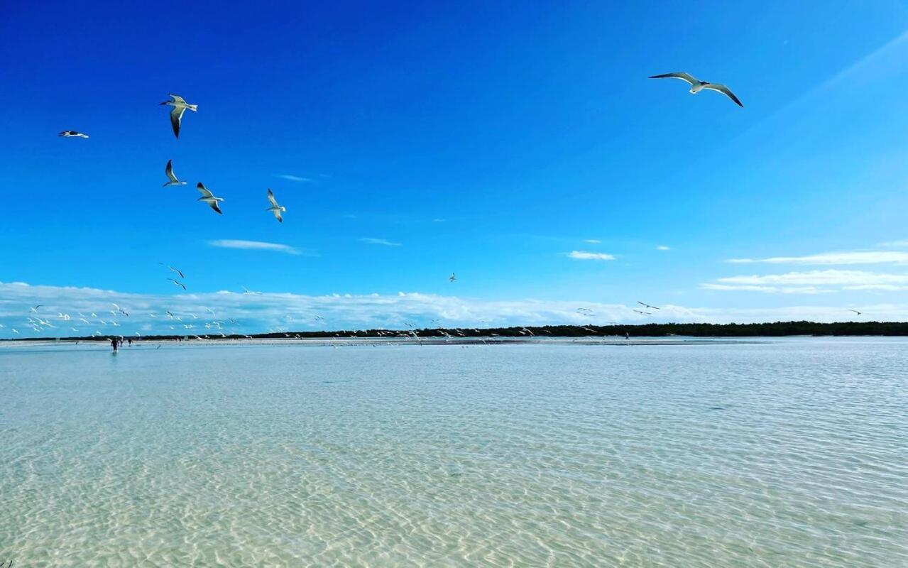 Mi Habitat Holbox-Maravilla Natural Zewnętrze zdjęcie
