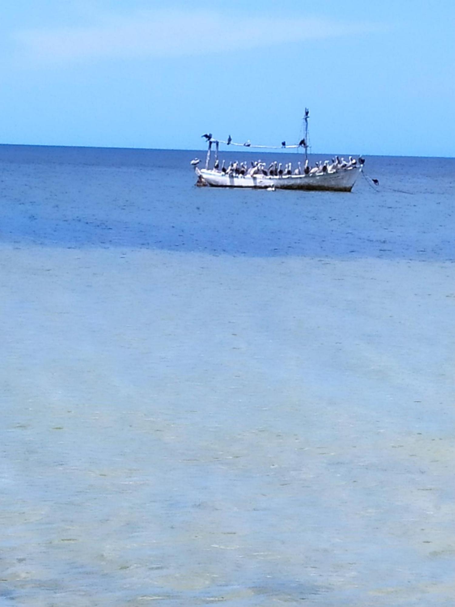 Mi Habitat Holbox-Maravilla Natural Zewnętrze zdjęcie