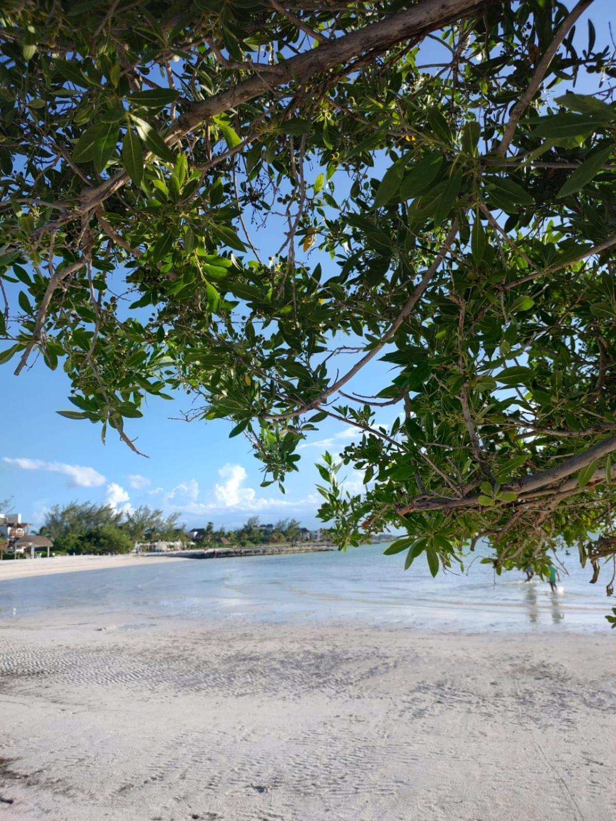 Mi Habitat Holbox-Maravilla Natural Zewnętrze zdjęcie