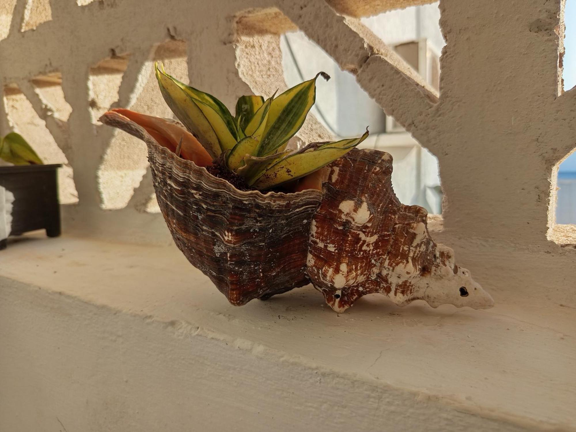 Mi Habitat Holbox-Maravilla Natural Zewnętrze zdjęcie