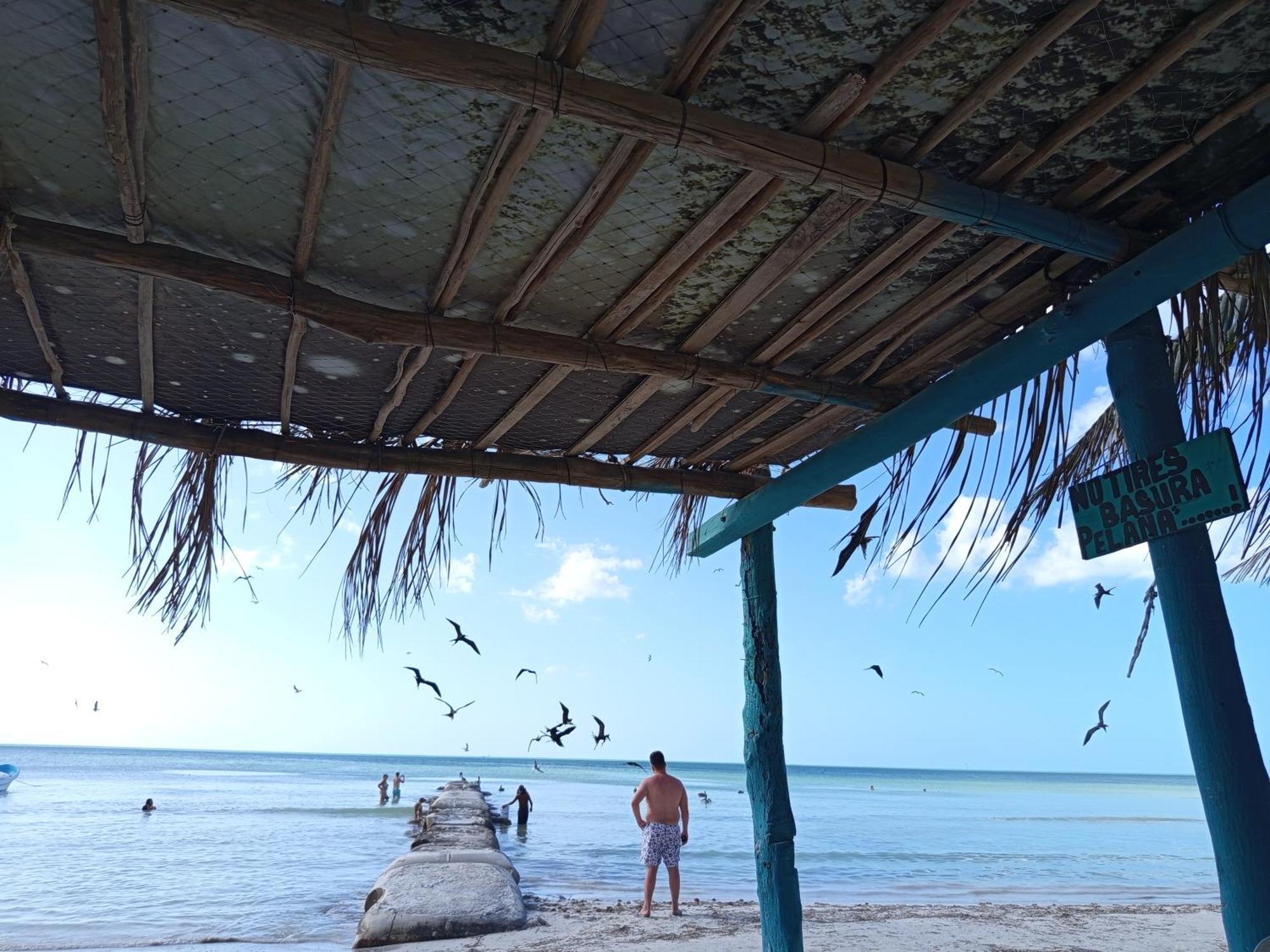Mi Habitat Holbox-Maravilla Natural Zewnętrze zdjęcie
